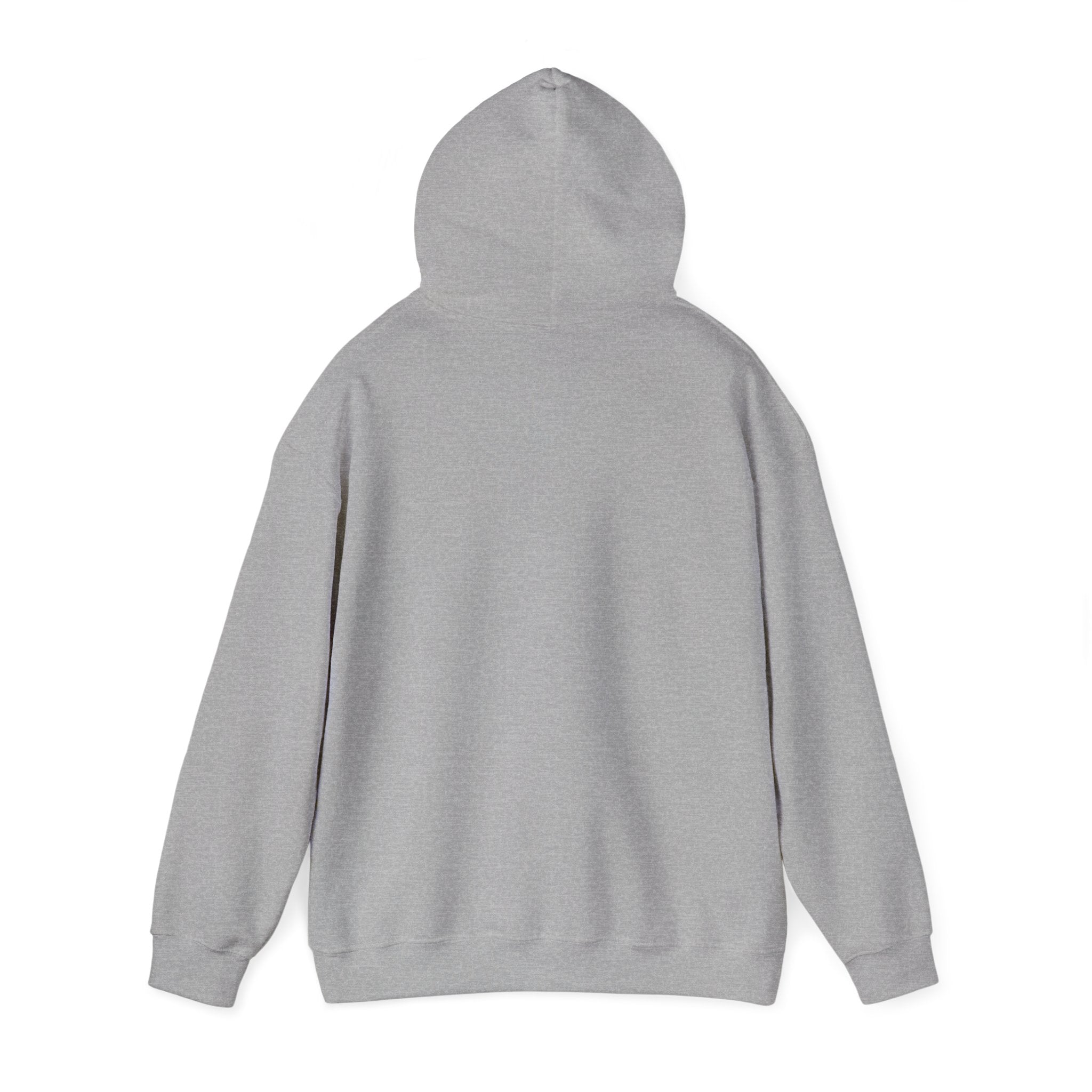 SGMC Rainbow Dome Hoodie — San Gabriel Music Center Sweatshirt