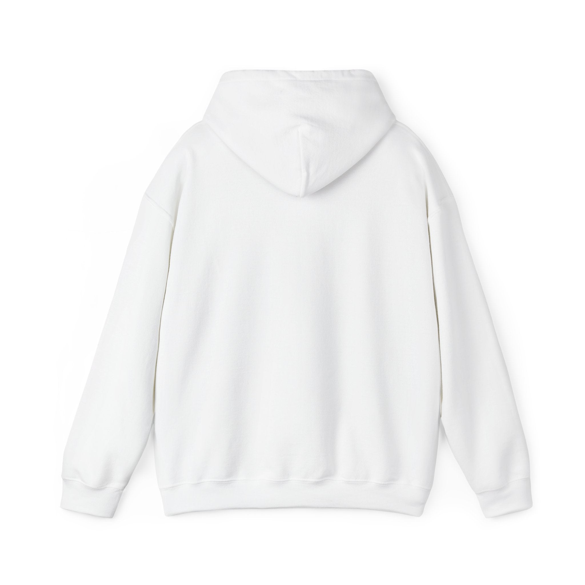 SGMC Rainbow Dome Hoodie — San Gabriel Music Center Sweatshirt