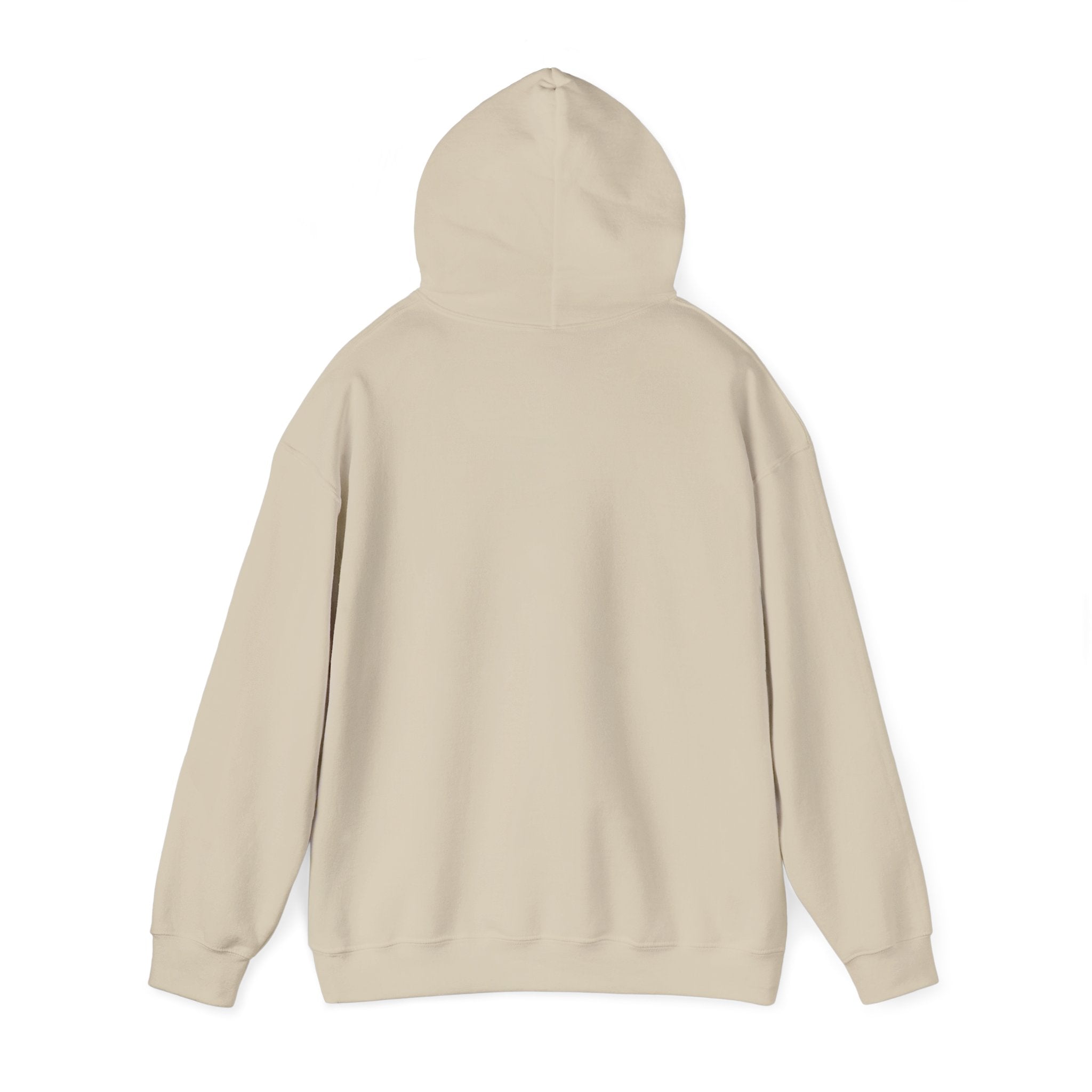 SGMC Rainbow Dome Hoodie — San Gabriel Music Center Sweatshirt