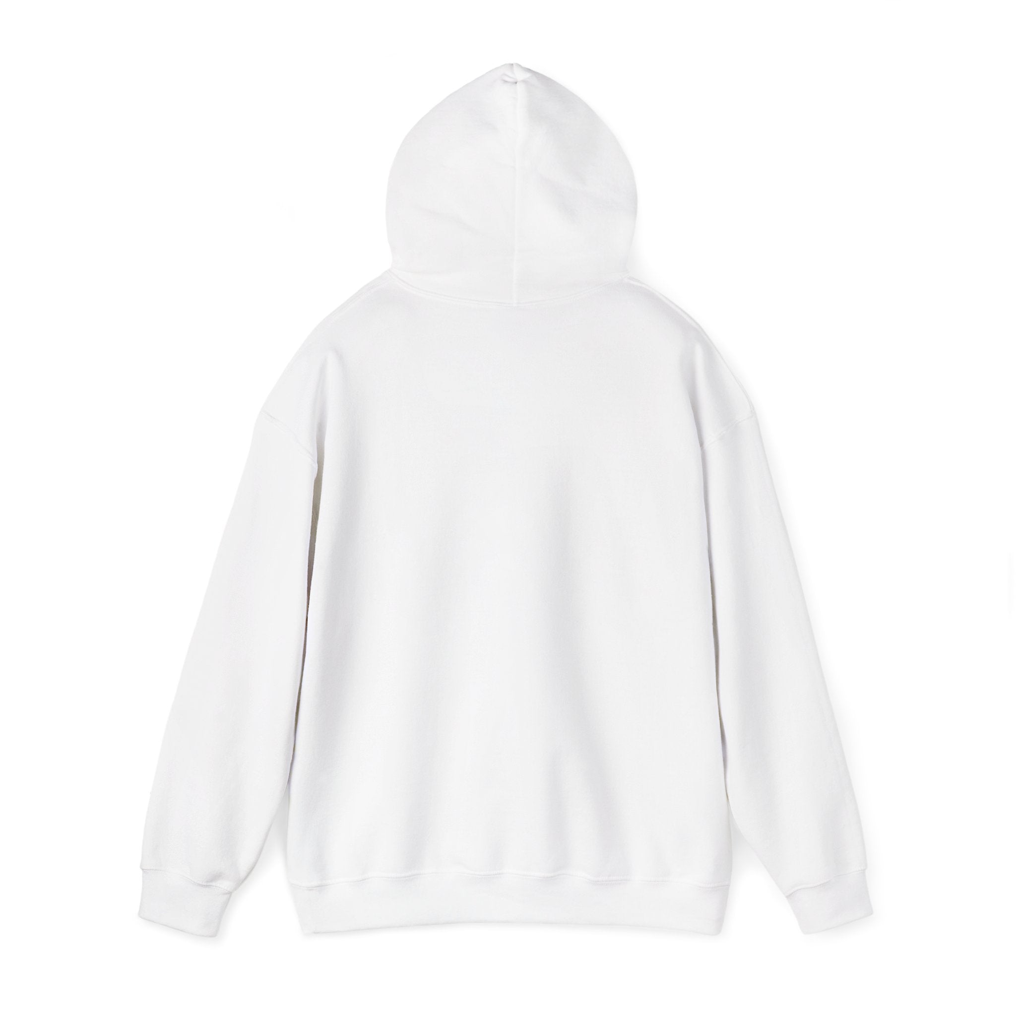 SGMC Rainbow Dome Hoodie — San Gabriel Music Center Sweatshirt