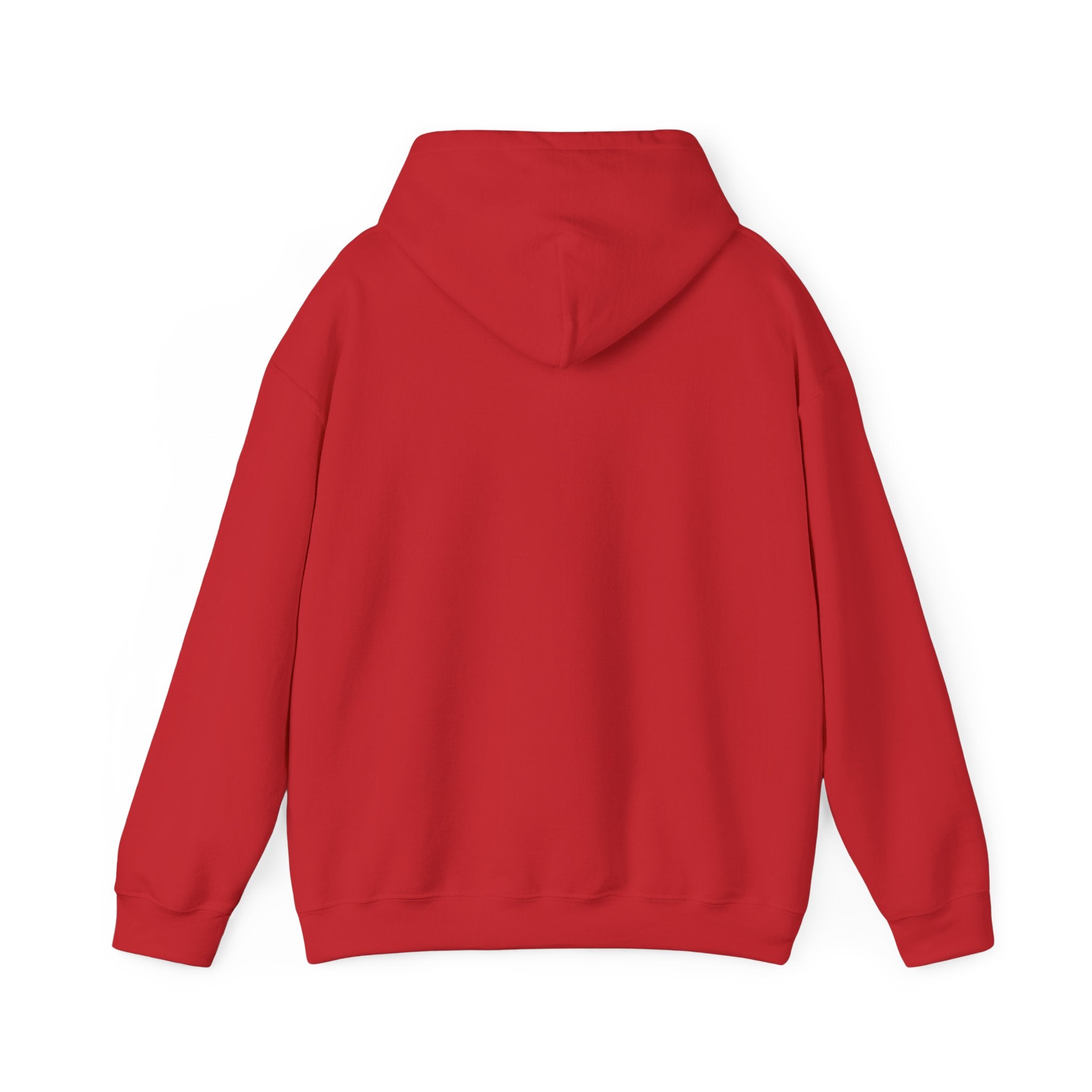SGMC Rainbow Dome Hoodie — San Gabriel Music Center Sweatshirt
