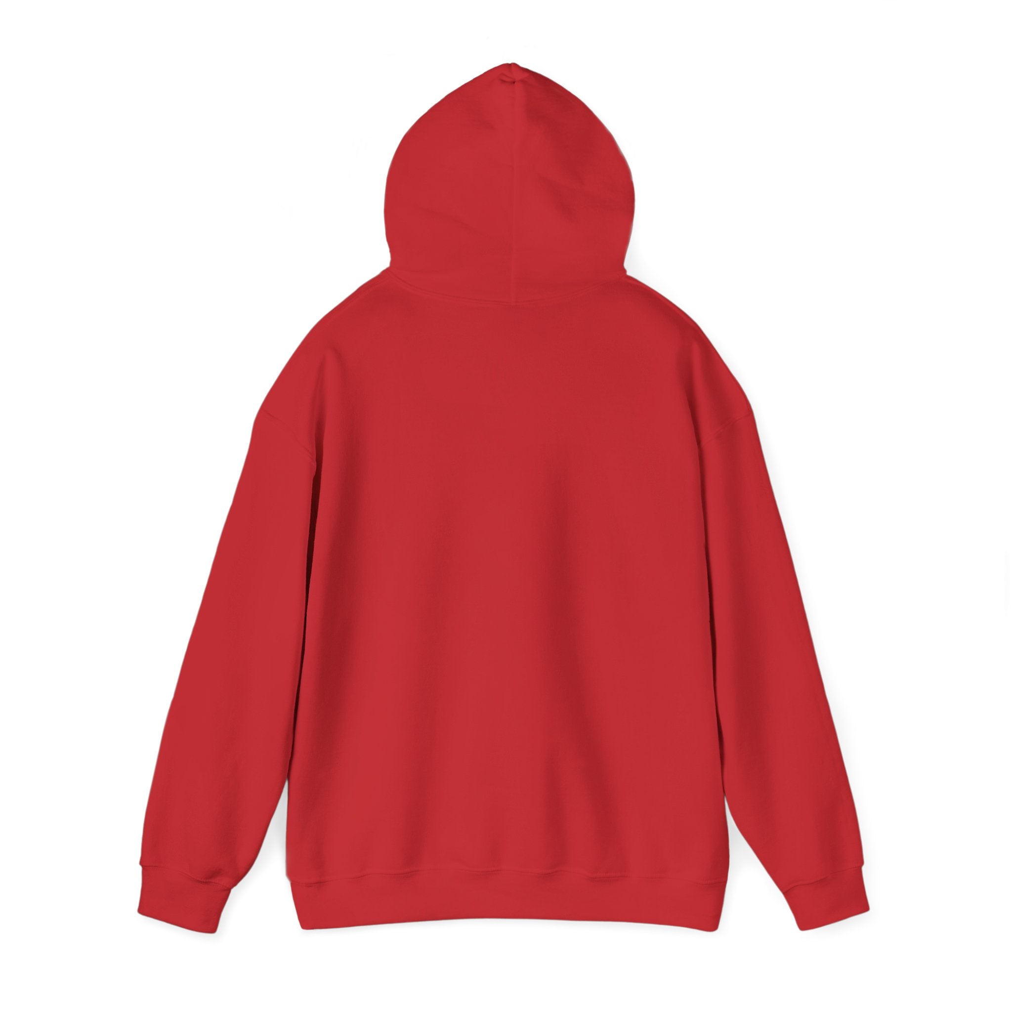 SGMC Rainbow Dome Hoodie — San Gabriel Music Center Sweatshirt