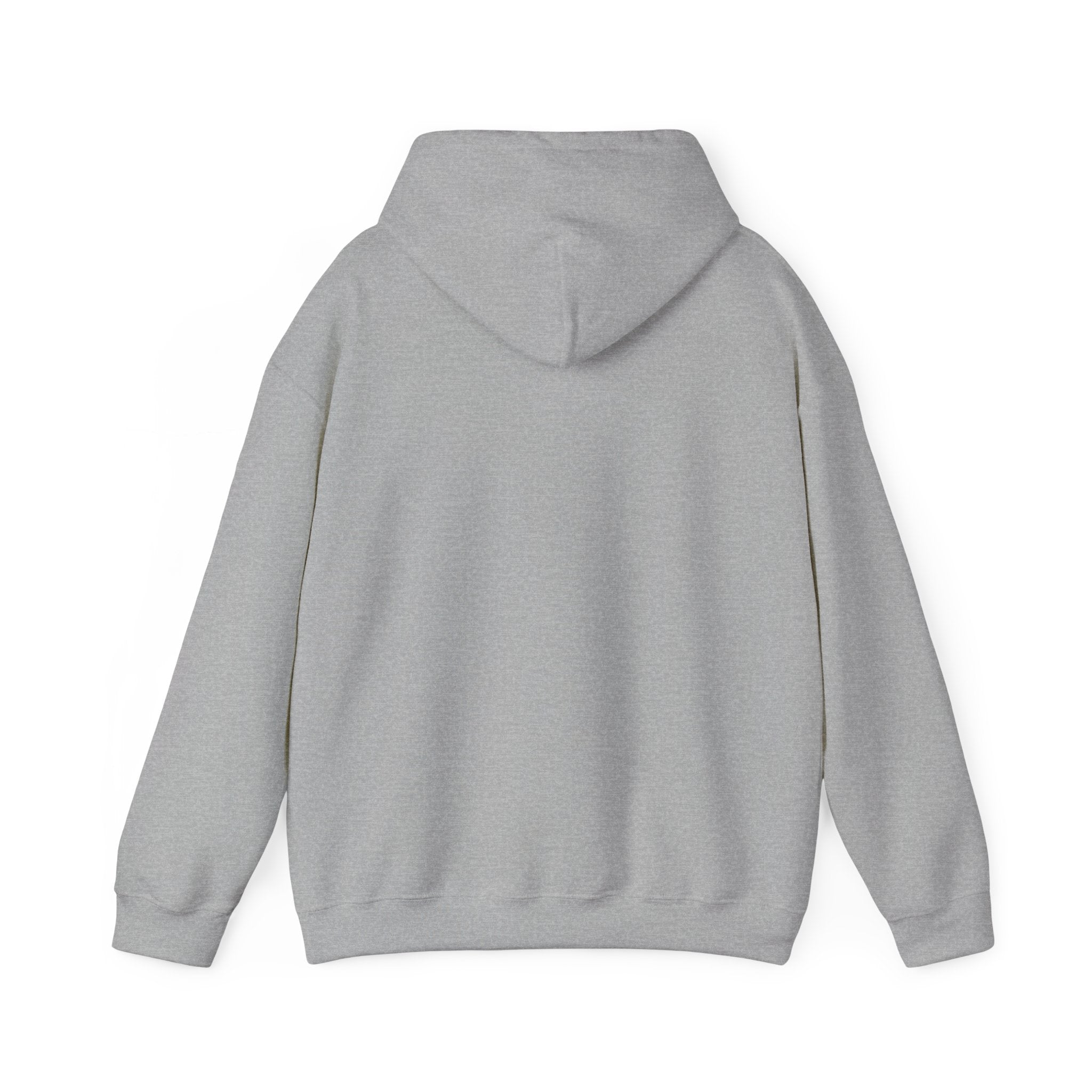 SGMC Rainbow Dome Hoodie — San Gabriel Music Center Sweatshirt