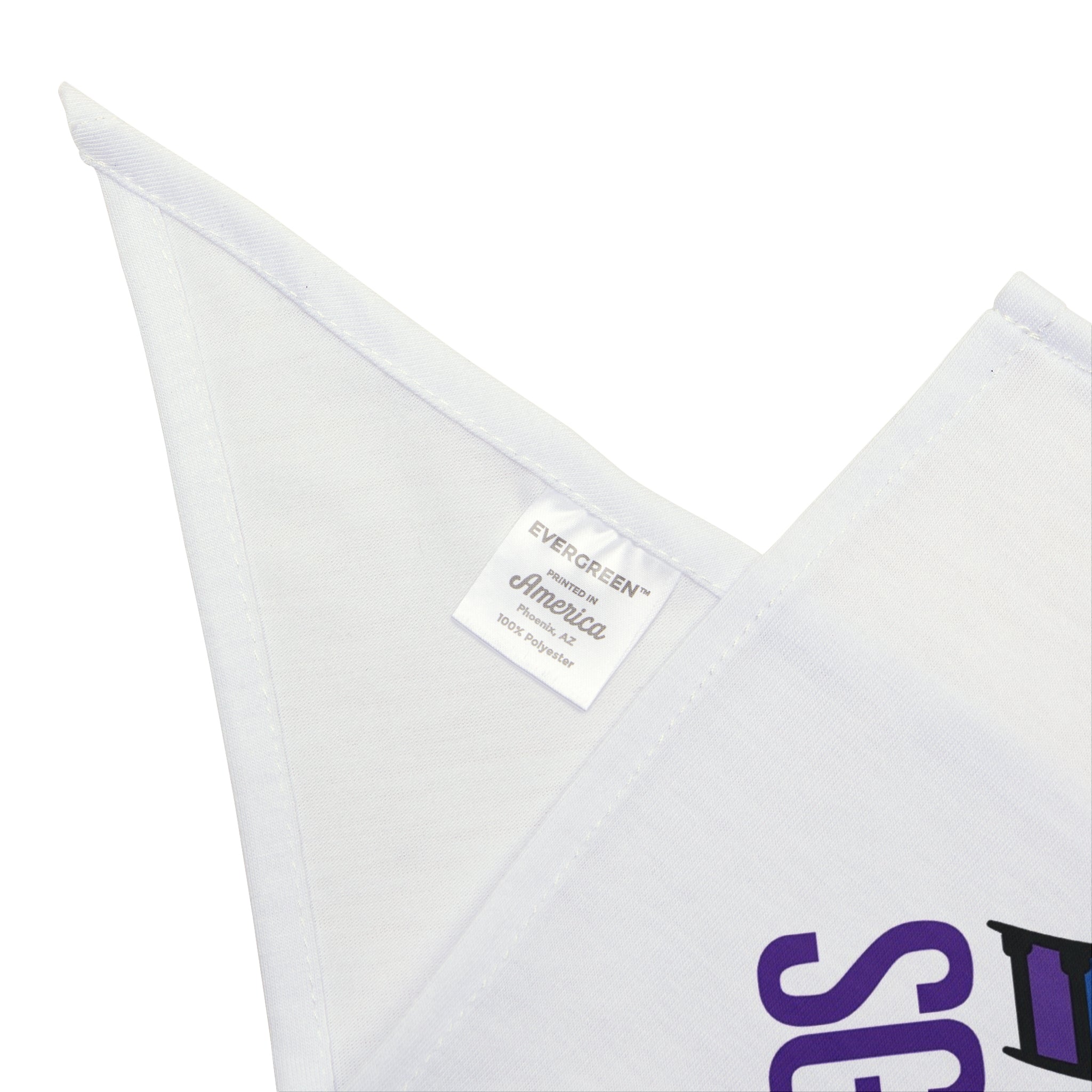 Pet Bandana — Rainbow Capitol Dome SGMC Music Paw Scarf