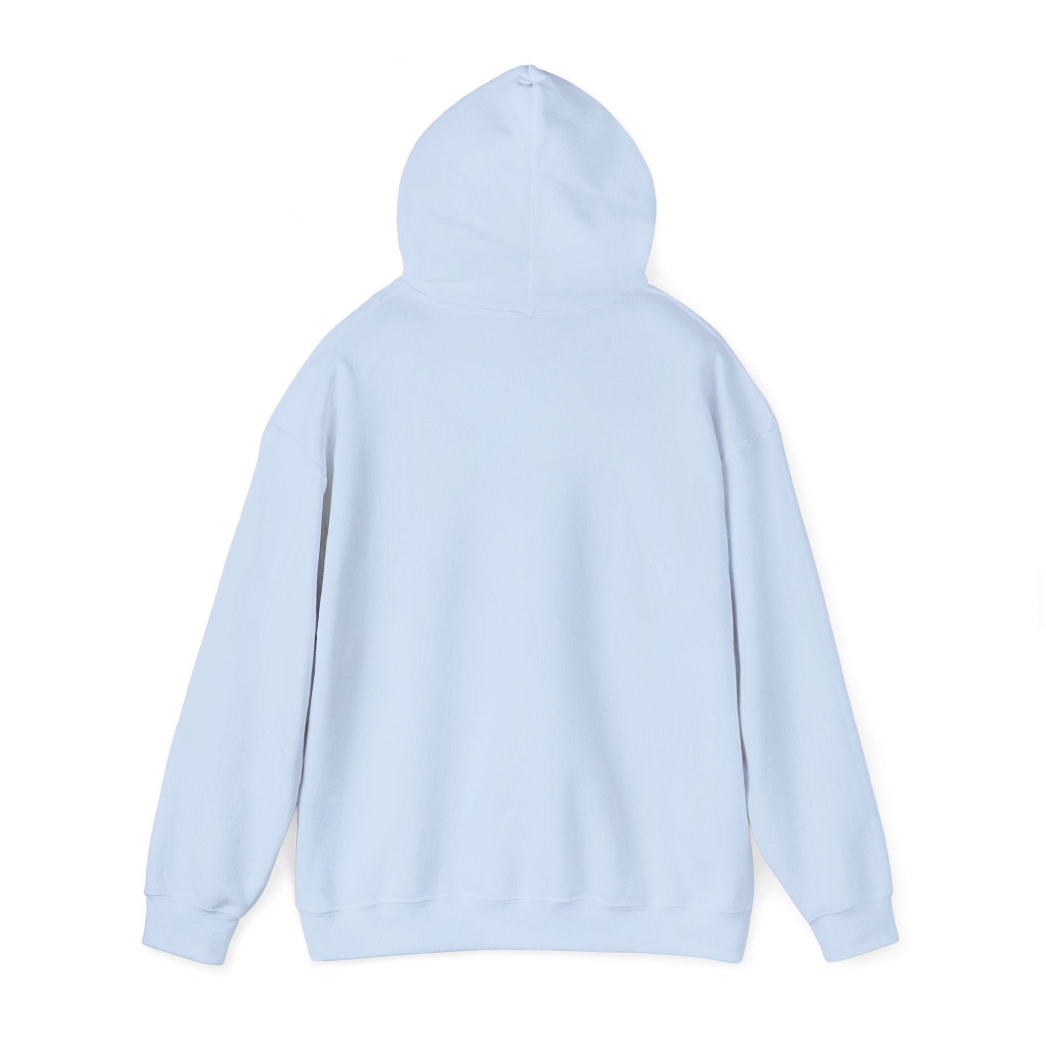 SGMC Rainbow Dome Hoodie — San Gabriel Music Center Sweatshirt
