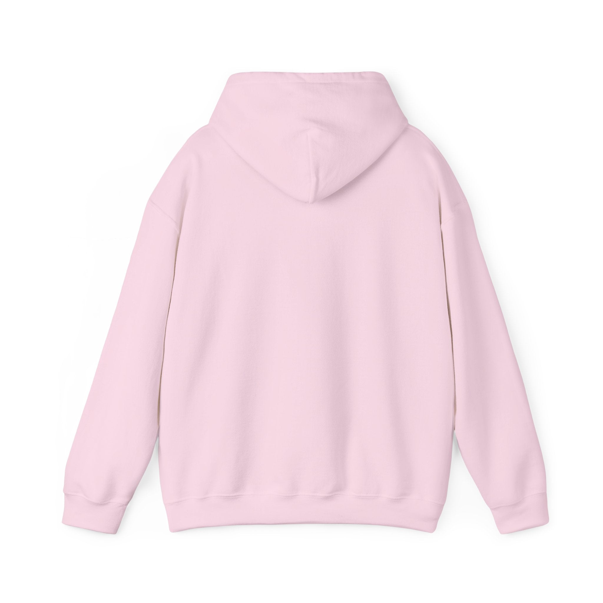 SGMC Rainbow Dome Hoodie — San Gabriel Music Center Sweatshirt