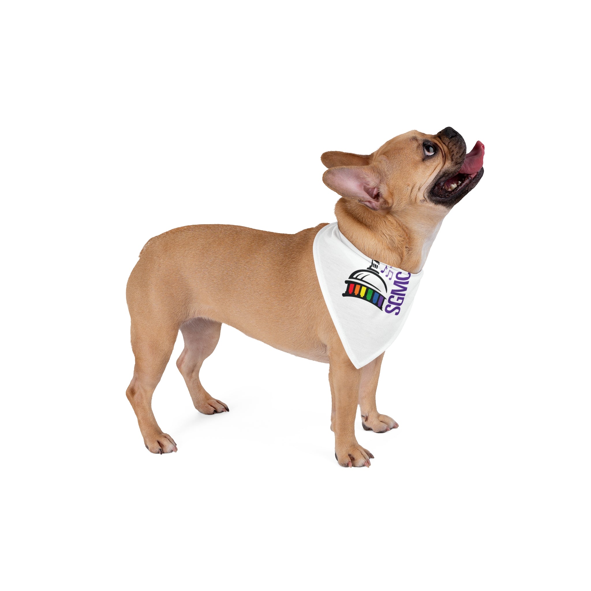 Pet Bandana — Rainbow Capitol Dome SGMC Music Paw Scarf
