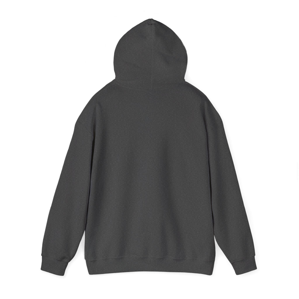 SGMC Rainbow Dome Hoodie — San Gabriel Music Center Sweatshirt