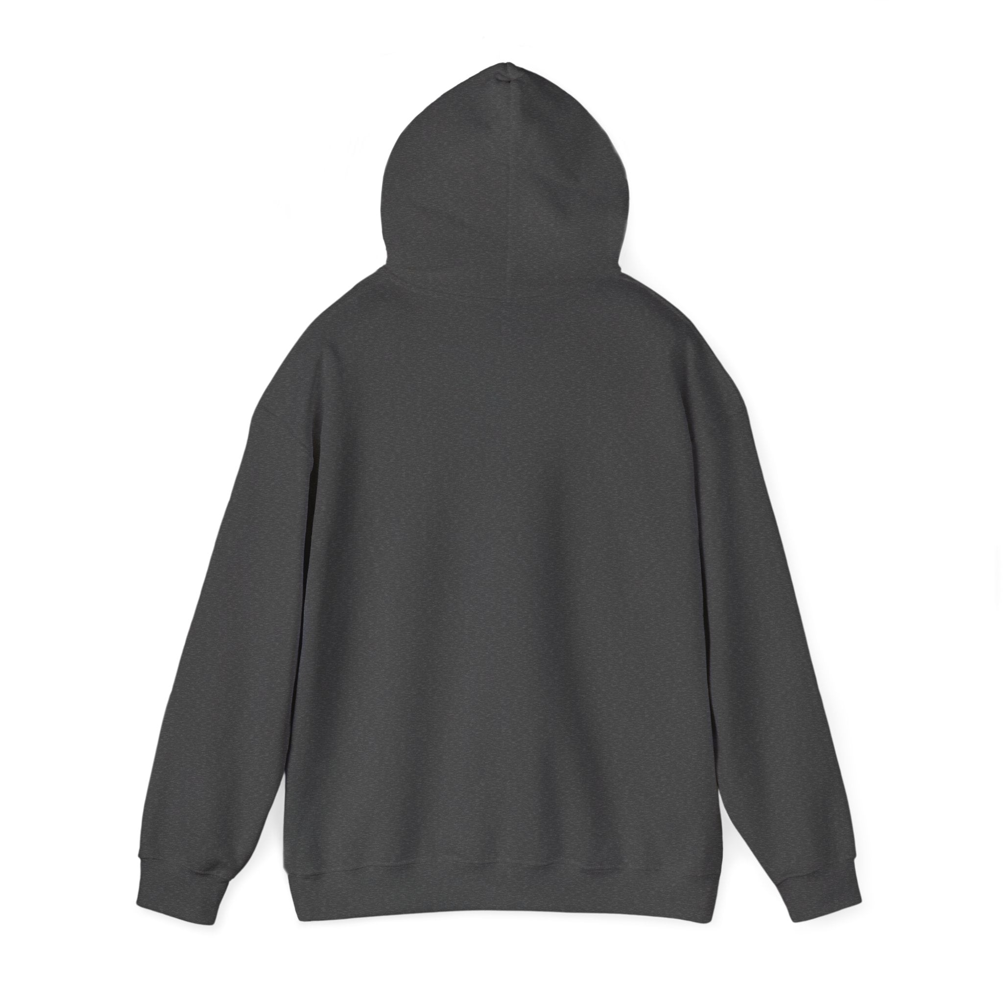 SGMC Rainbow Dome Hoodie — San Gabriel Music Center Sweatshirt