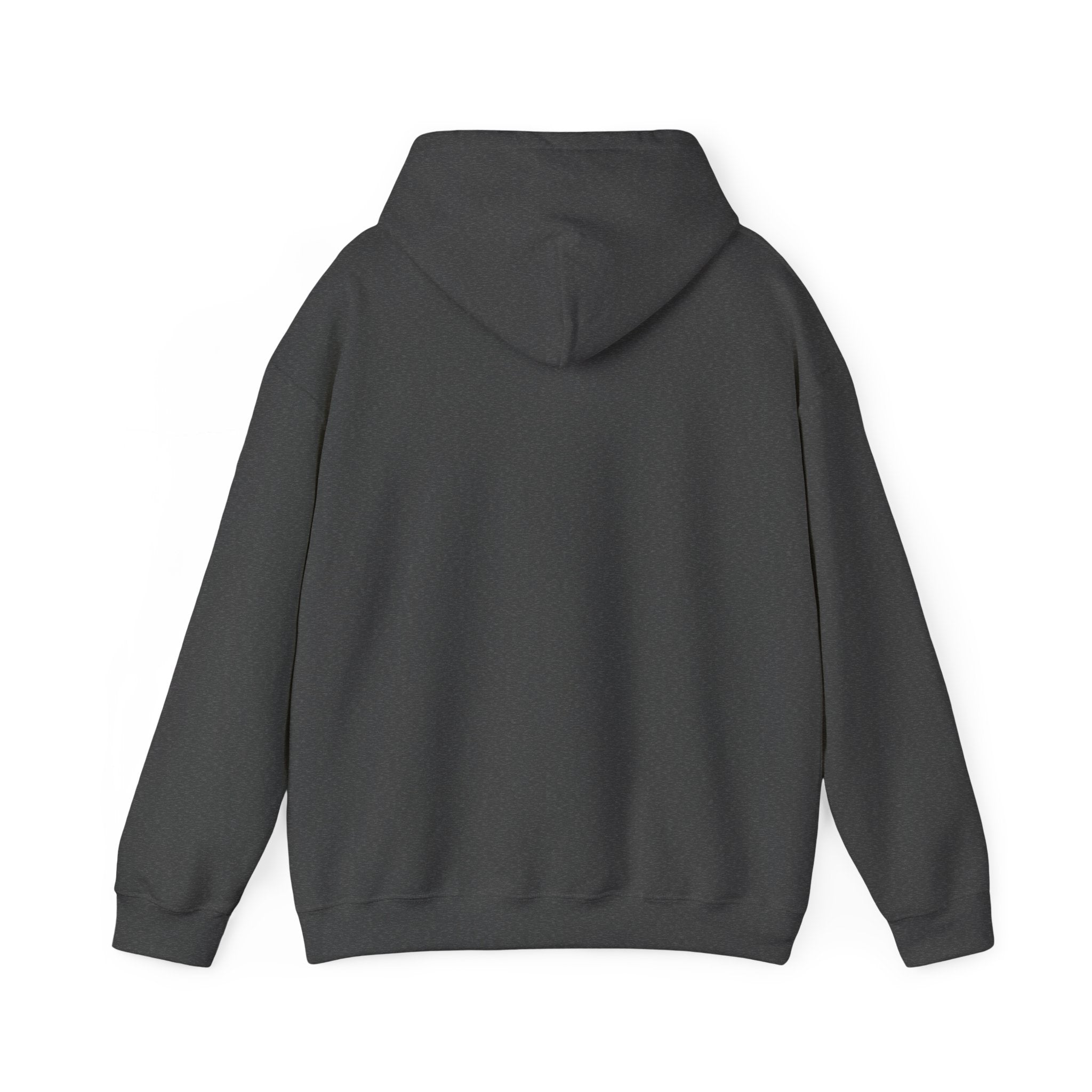 SGMC Rainbow Dome Hoodie — San Gabriel Music Center Sweatshirt