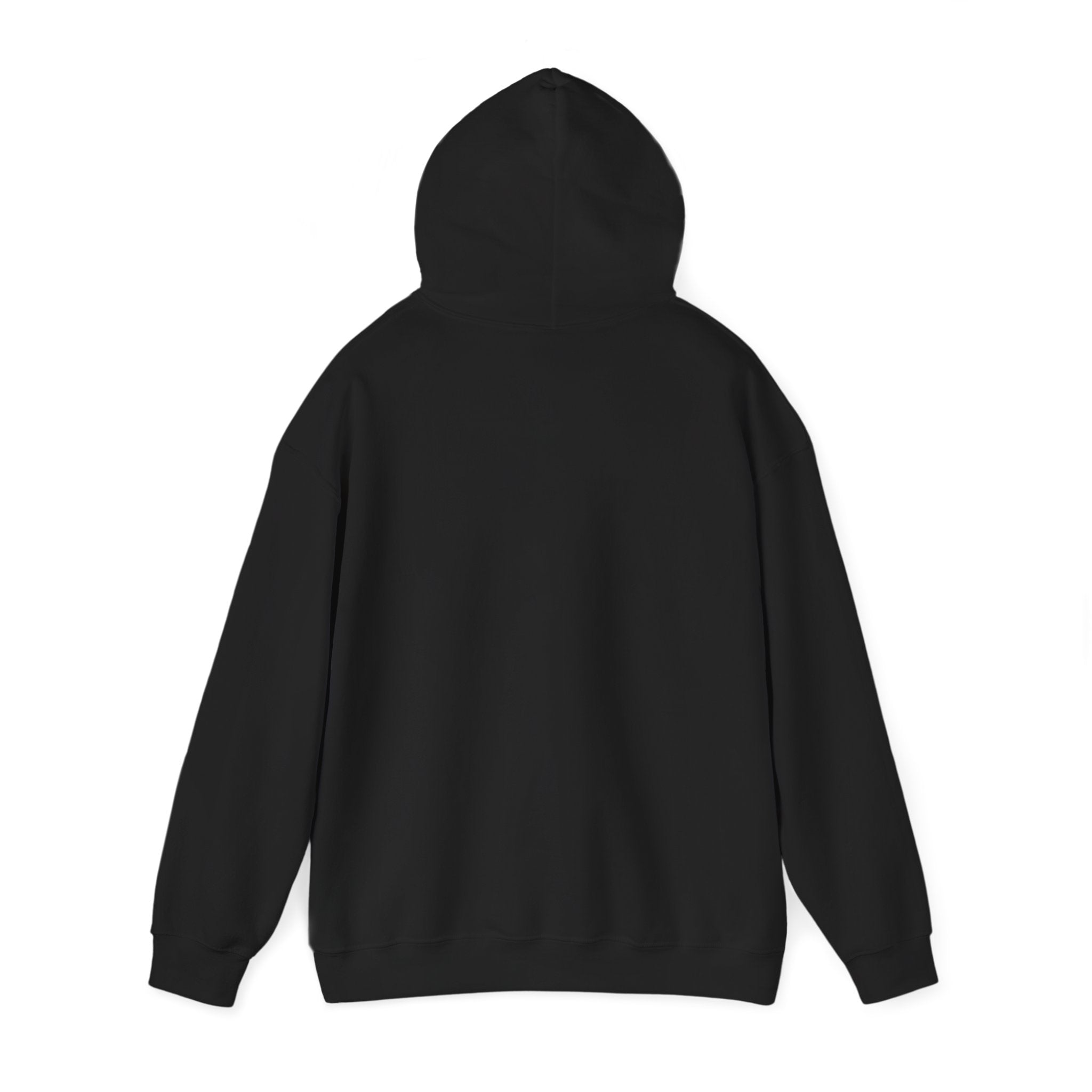 SGMC Rainbow Dome Hoodie — San Gabriel Music Center Sweatshirt