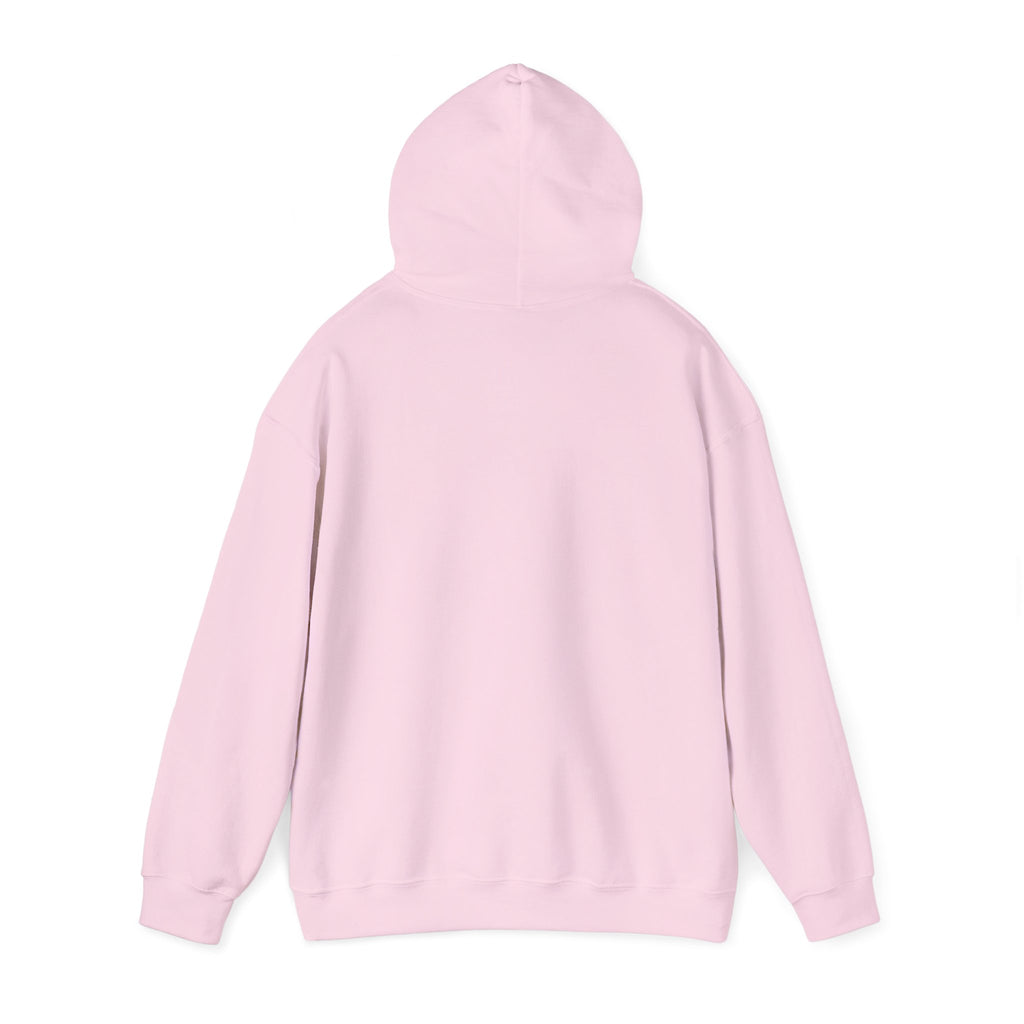 SGMC Rainbow Dome Hoodie — San Gabriel Music Center Sweatshirt